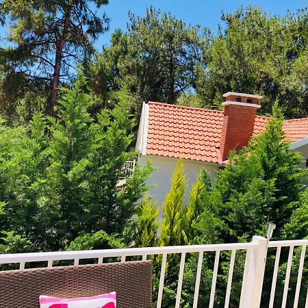 Dom wakacyjny The House Of Your Dreams Kusadası